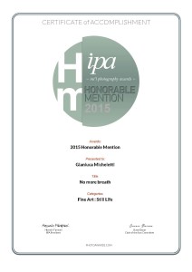 IPA-Honorable-Mention.fineart_stilllife