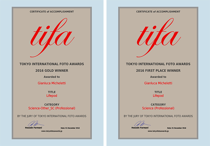 tifa awards